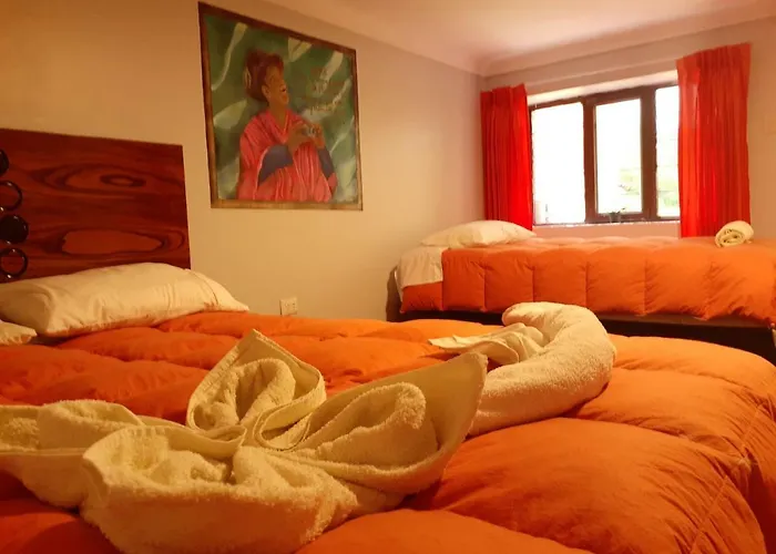 Hostel Conde House